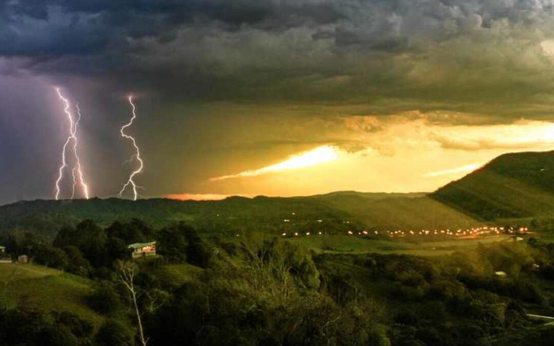 How can purpose be a driver for sustainable performance?