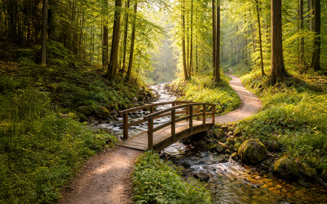Some paths find their way here gradually.